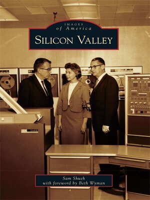 Silicon Valley - ebook